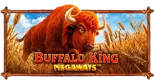 ภาพเกม Buffalo King Megaways ที่ siam345 รวบรวมไว้